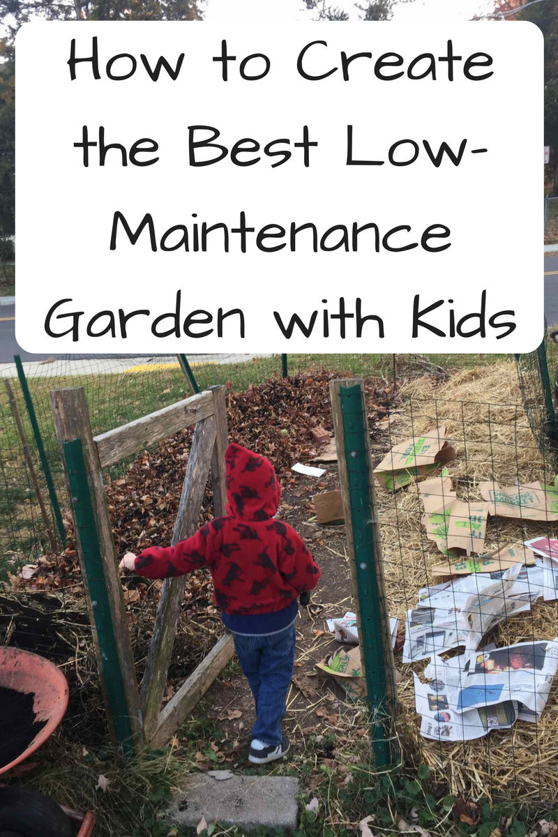 How To Create The Best Low Maintenance Garden With Kids