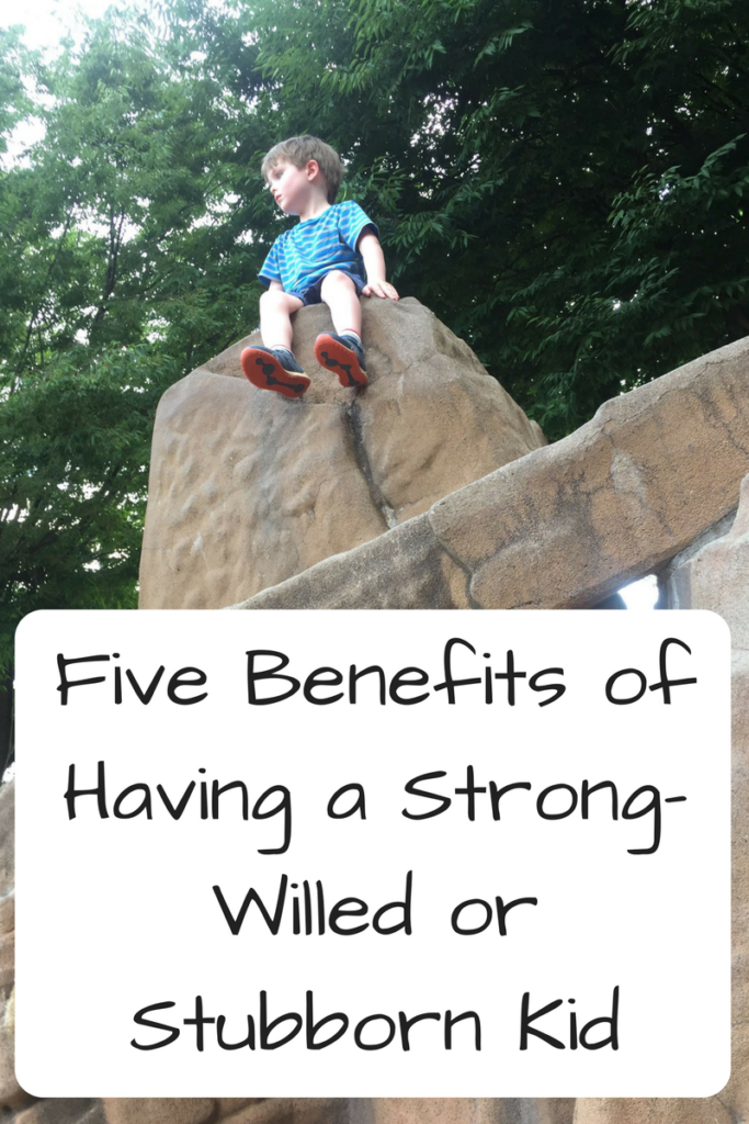 Five Benefits of Having a Strong-Willed or Stubborn Kid. Have a stubborn kid who won't do what you want? Here's some benefits you may not have considered! (Photo: Four-year-old white boy sitting on top of a rock structure.)