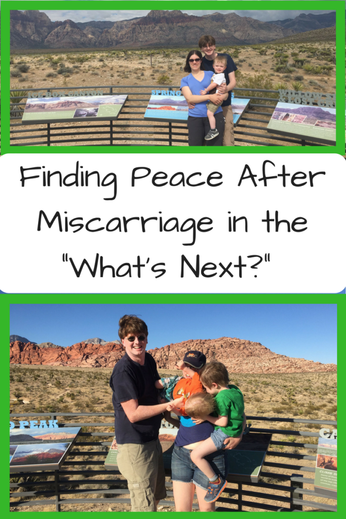 Finding Peace After Miscarriage in the "What's Next?" Photo: White family of man, woman and one baby standing in front of red cliffs (top); White family of man, woman, and two kids blocking the woman standing in front of red cliffs (bottom)