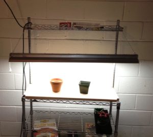Photo of a kitchen butcher block stand with a light hanging from it and two flowerpots below. 