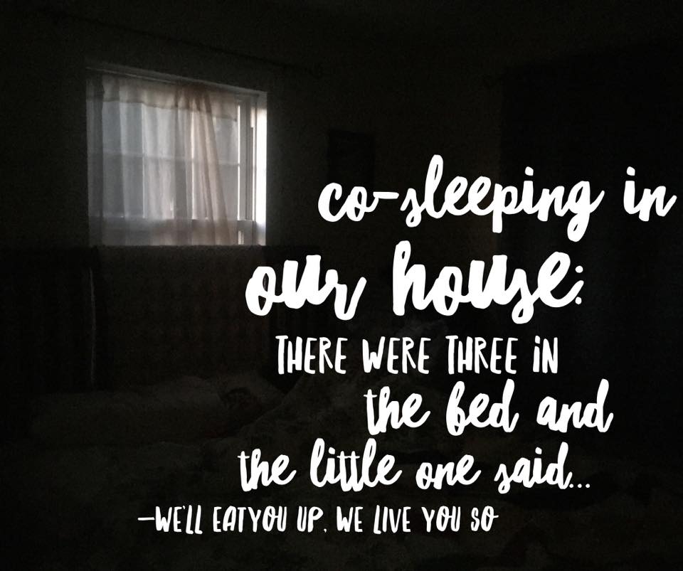 Co-Sleeping in Our House: There were three in the bed and the little one said... (Photo: Dark room with a window)