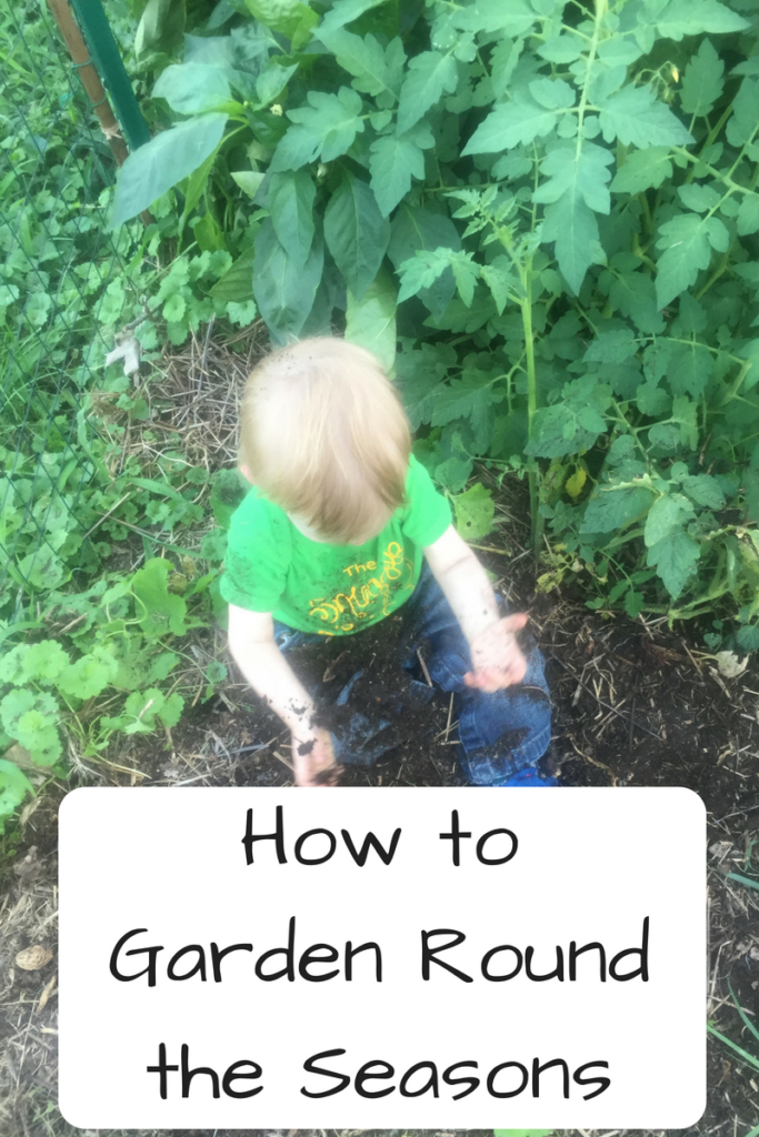 How to Garden Round the Seasons (Photo: Small child playing in the dirt surrounded by tomato plants)