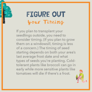 Figure out your timing. If you plan to transplant your seedlings outside, you need to consider timing. (If you plan to grow them on a windowsill, timing is less of a concern.) The timing of seed starting depends on both your area’s last average frost date and what types of seeds you’re planting. Cold-tolerant plants like broccoli can go in early while more sensitive plants like tomatoes will die if there’s a frost.