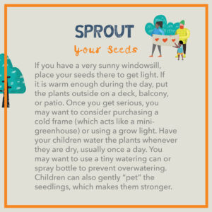Sprout your seeds. If you have a very sunny windowsill, place your seeds there to get light. If it is warm enough during the day, put the plants outside on a deck, balcony, or patio. Once you get serious, you may want to consider purchasing a cold frame (which acts like a mini-greenhouse) or using a grow light. Have your children water the plants whenever they are dry, usually once a day. You may want to use a tiny watering can or spray bottle to prevent overwatering. Children can also gently “pet” the seedlings, which makes them stronger.