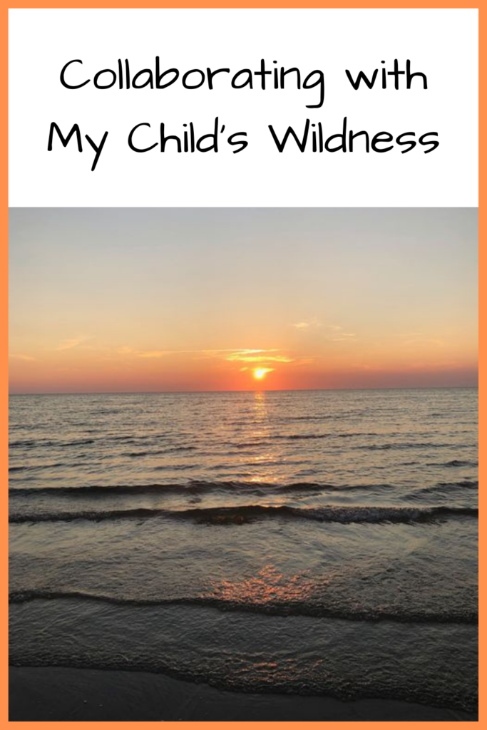 Collaborating with My Child's Wildness" Photo of a sunset over the ocean