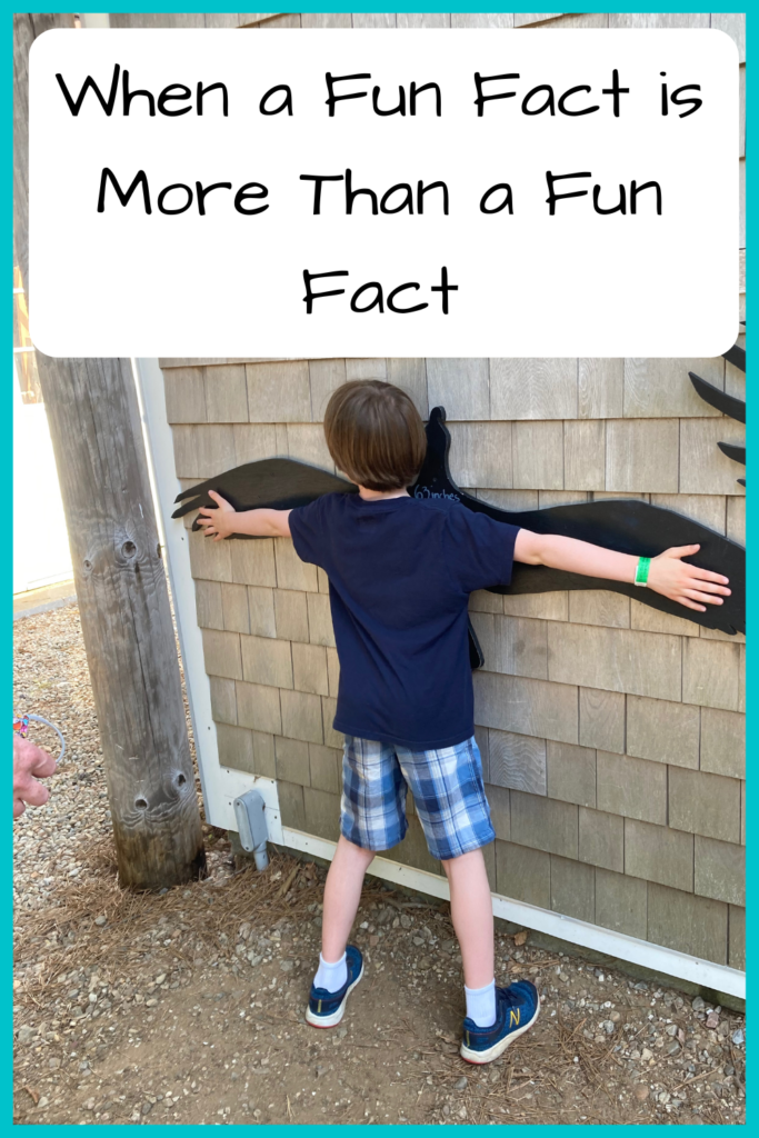 Photo of a boy holding his arms up to a silhouette of a bird on a shingled wall; Text: When a Fun Fact Is More than a Fun Fact