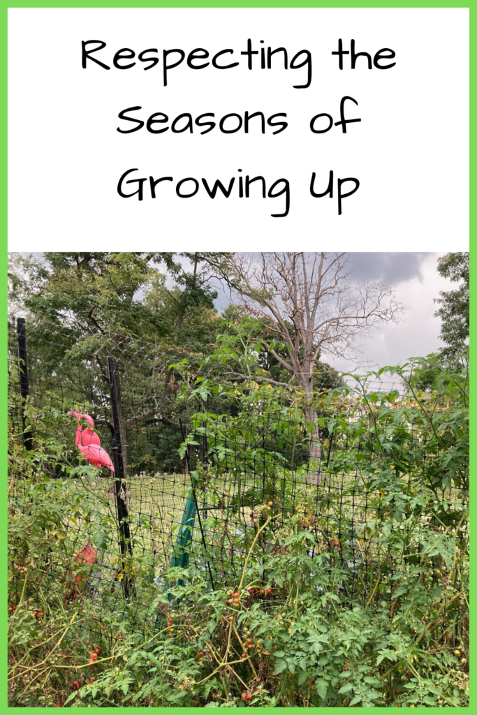 Text: Respecting the Seasons of Growing Up; Photo of tomatoes entangled in a mesh fence with trees and plastic flamingos in the fence in the background; 