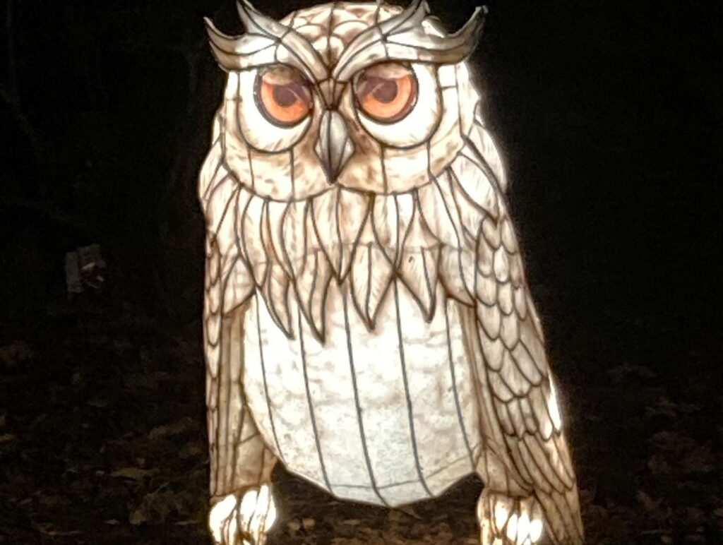 A photo of a Chinese-lantern style owl