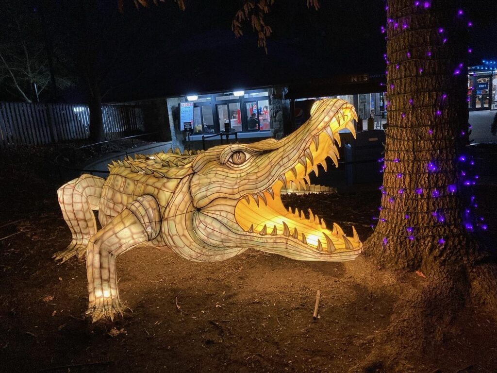 Photo of a Chinese-style lantern of an alligator next to a tree wrapped in purple Christmas lights at night
