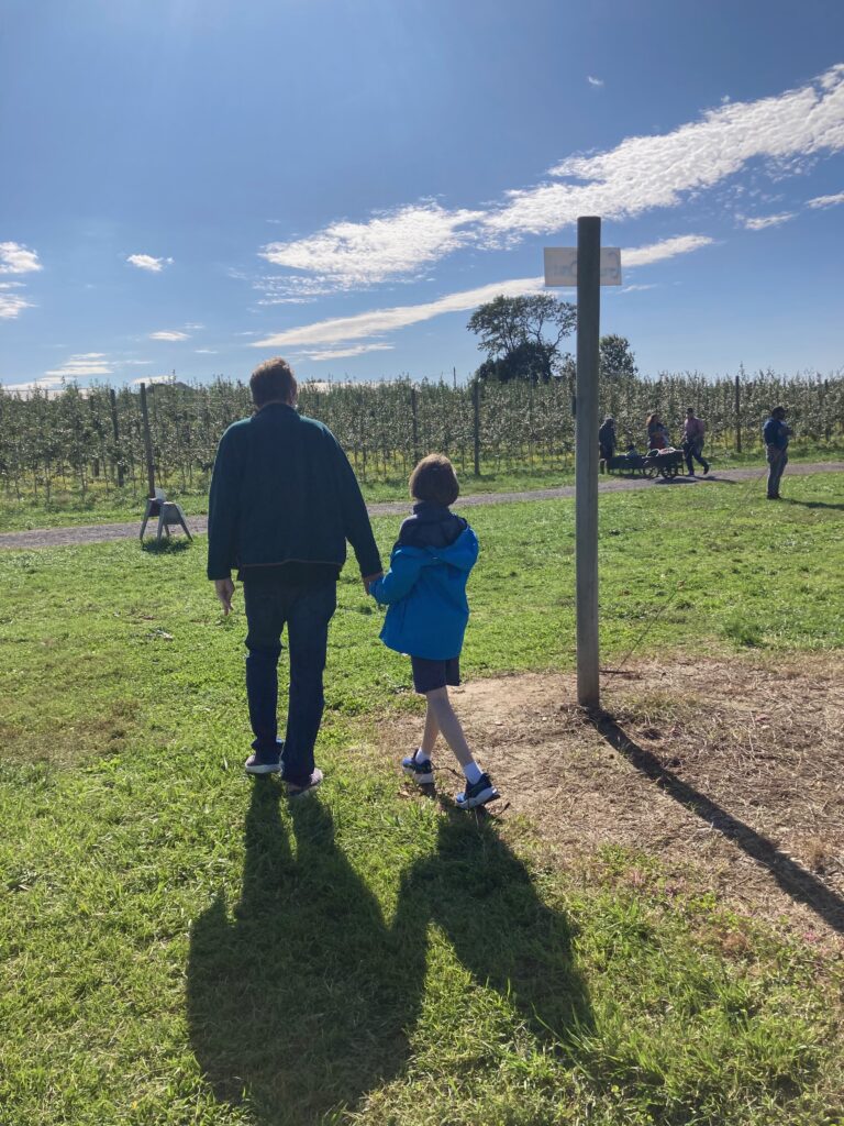A photo of my husband and older son (who are both white males) walking in an apple orchard on a bright, sunny fall day