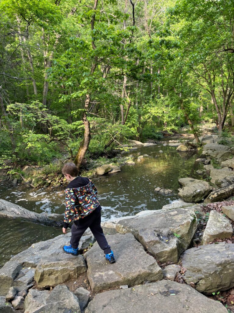 My younger son (a white boy in a sweatshirt with multicolored dinosuars, black jeans, and blue hiking boots) stepping between rocks next to a stream