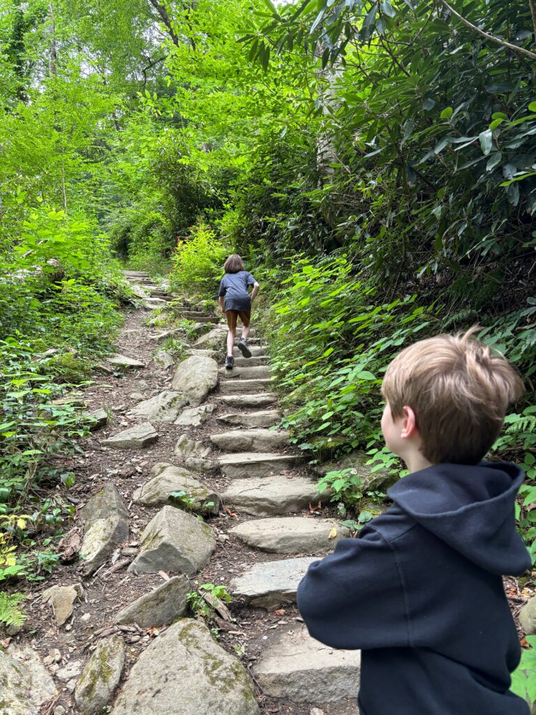 My older son (a white boy in shorts and a t-shirt) bounding up the stone stairs of a hiking trail in Great Smoky Mountain National Park while my younger son (a white boy in a black sweatshirt) looks on at the bottom of the stairs.