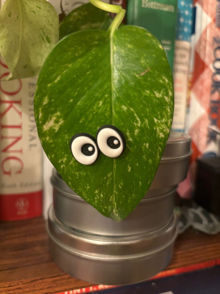 A plant leaf with googly eyes on it hanging over a shelf